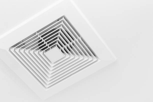 Best Home Air Vent Cleaning  in Tuscola, IL